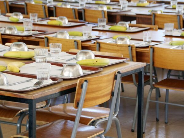 Mense scolastiche, Viterbo tra le meno care in Italia ma costano più di Roma