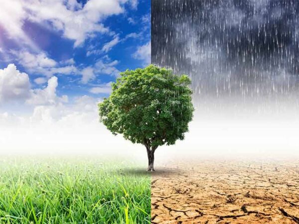 Indice del clima, Viterbo al 50° posto