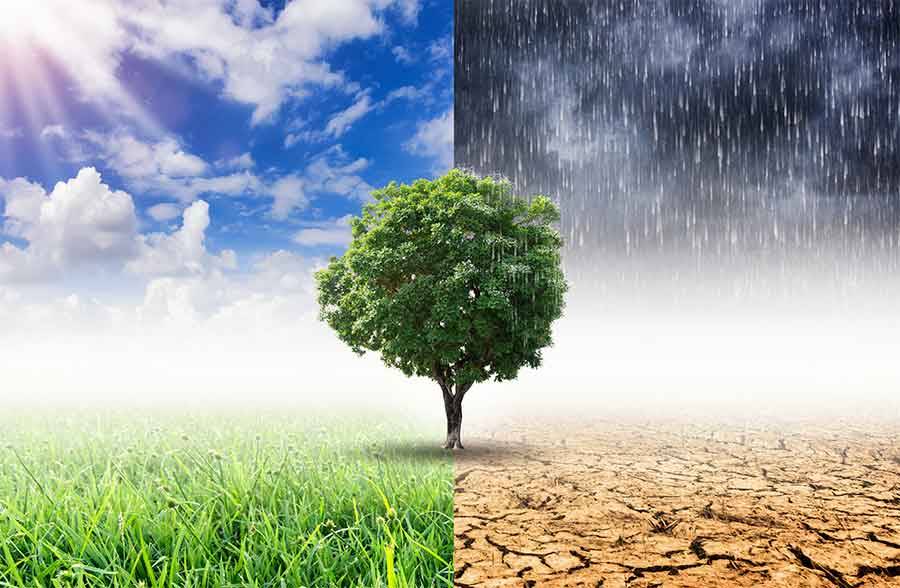 Indice del clima, Viterbo al 50° posto