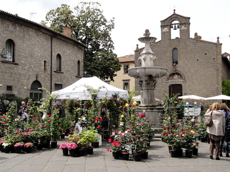 Crolla il tetto di un palazzetto storico a Viterbo