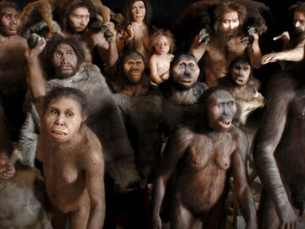 Noi siamo Sapiens