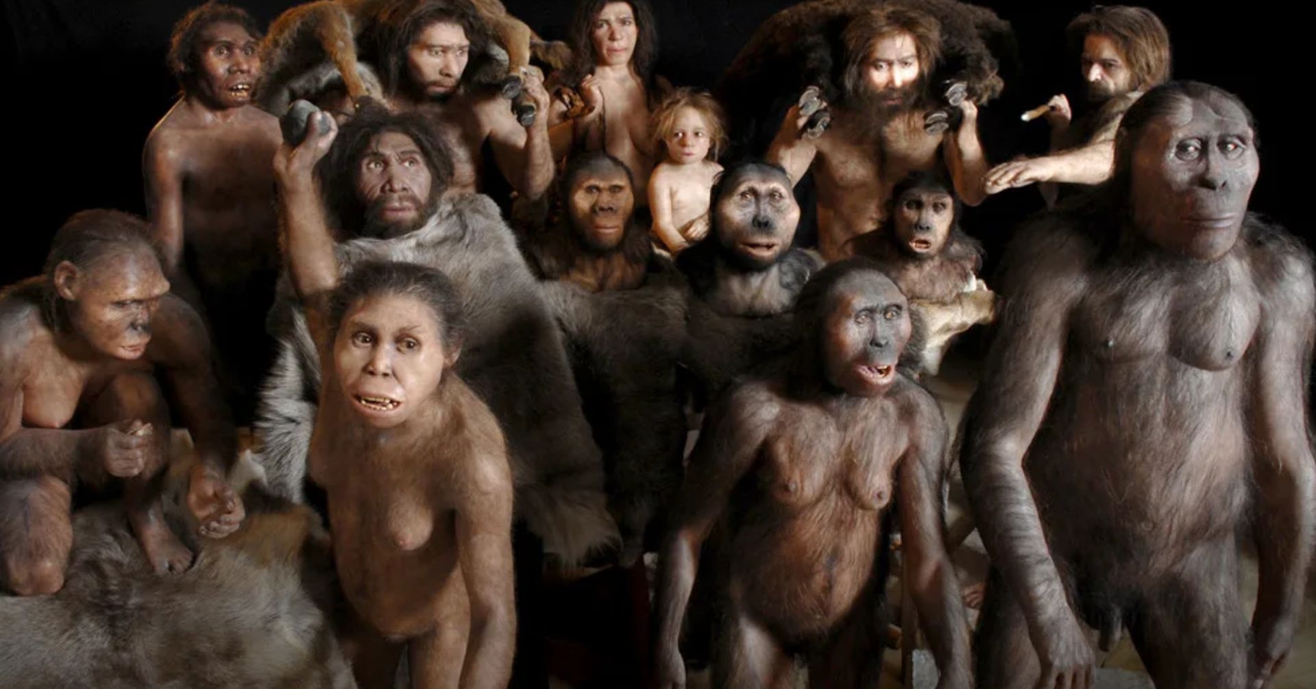 Noi siamo Sapiens