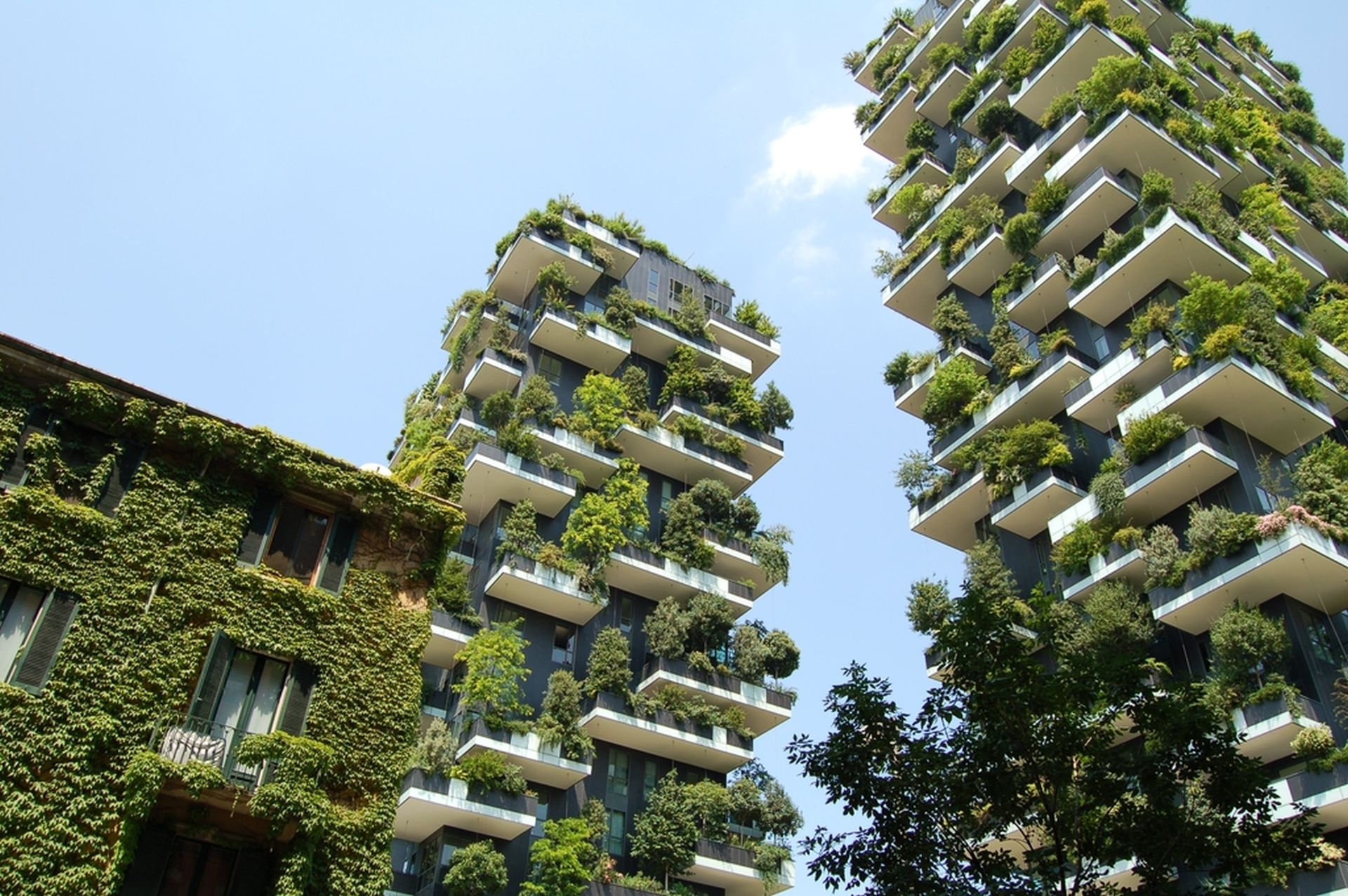 Fitopolis, la città vivente