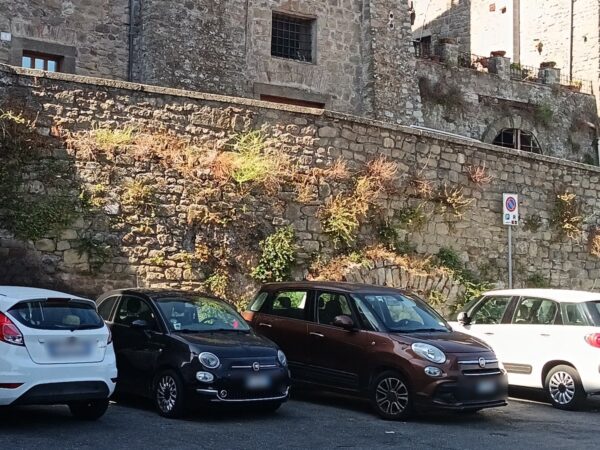 Quella maledetta dipendenza dall’automobile degli italiani