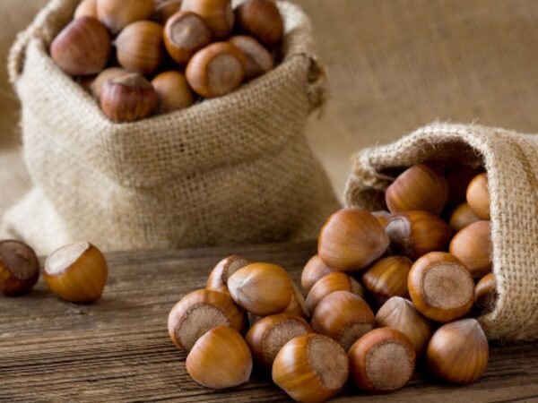 Crisi delle nocciole, duro atto di accusa del Biodistretto