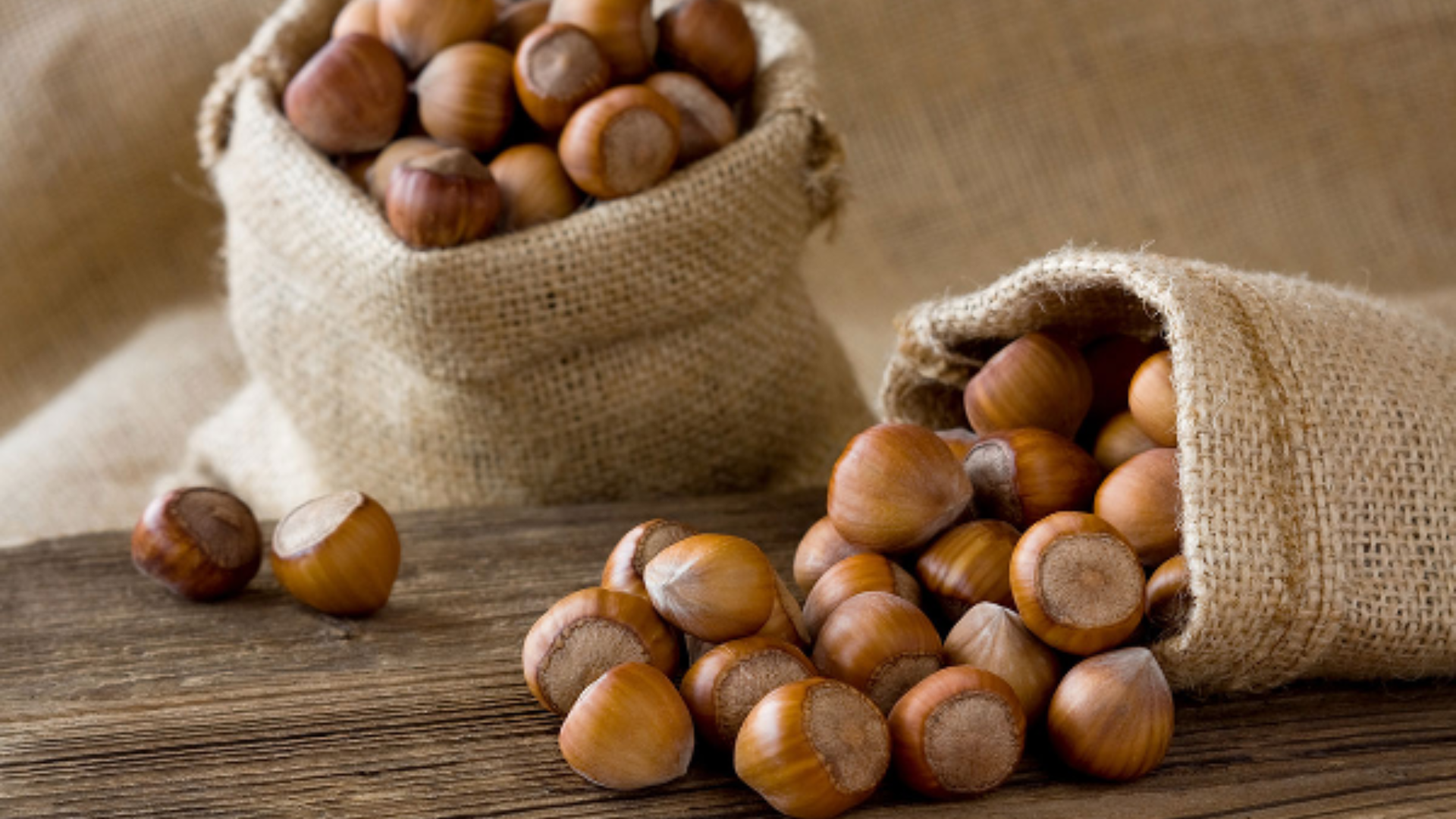 Crisi delle nocciole, duro atto di accusa del Biodistretto