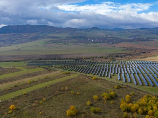 Consumo di suolo, ISPRA boccia la provincia di Viterbo ma i dati sono contestati da ambientalisti e aziende delle rinnovabili