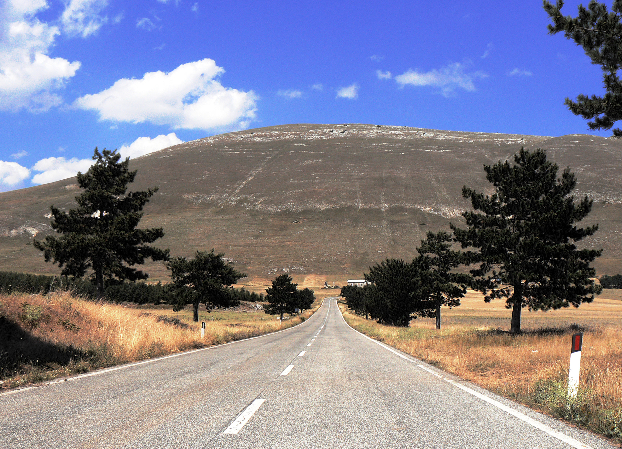 Strada provinciale asfaltata che attraversa un paesaggio collinare