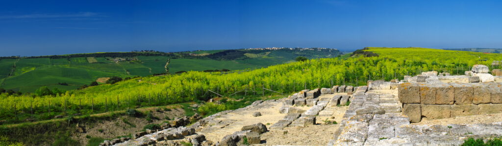Panorama di Tarquinia dall'area archeologica dell'Ara della Regina