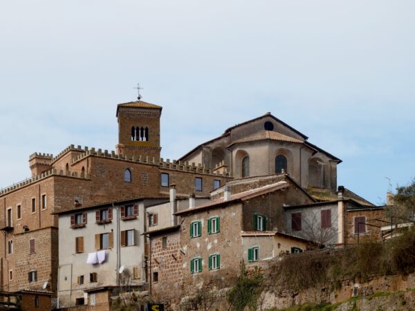 Crescono le aziende dell’Alto Lazio