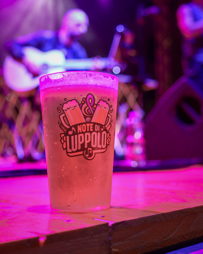 Un momento di musica dal vivo a "Note di Luppolo", il festival della birra artigianale di San Martino al Cimino