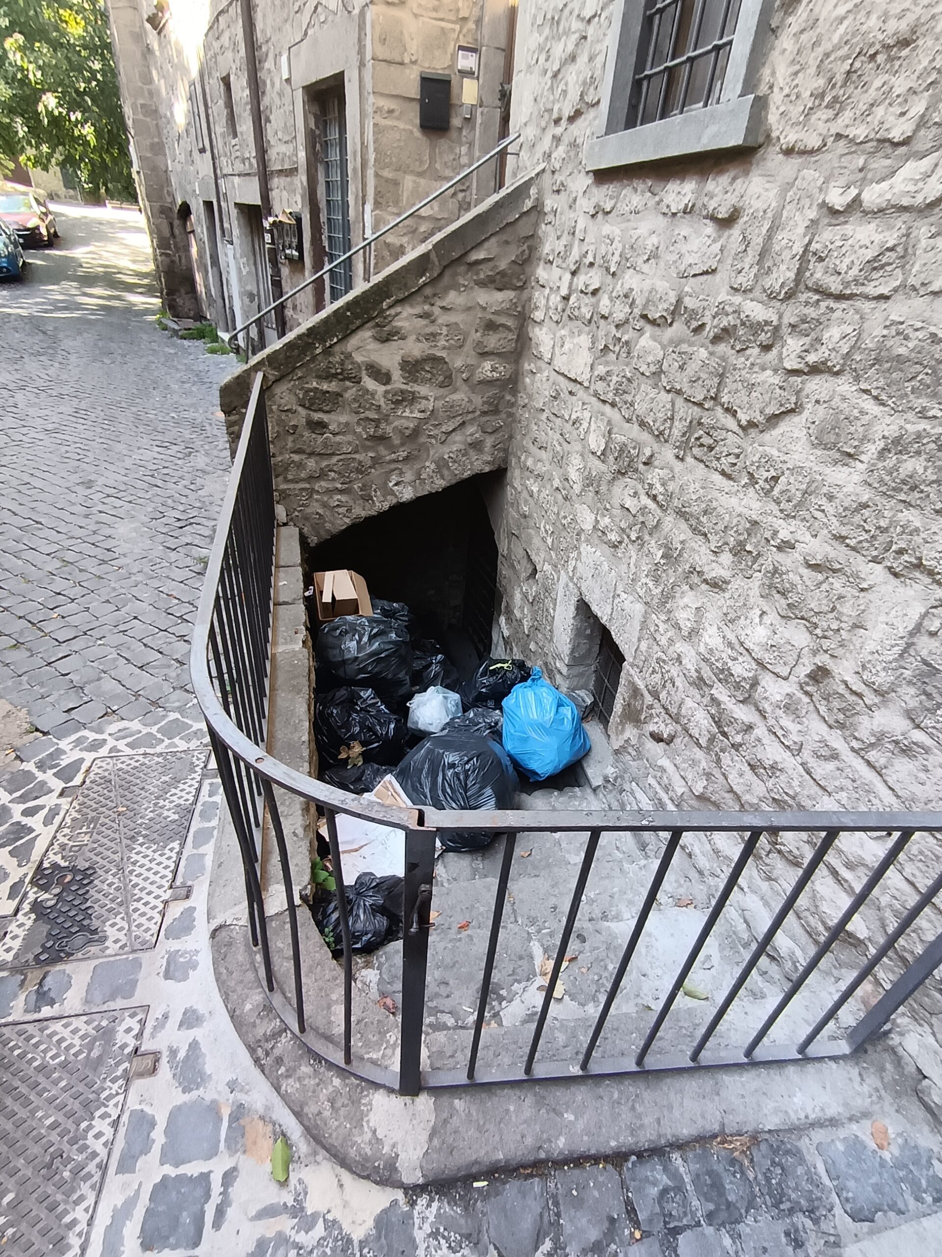 Vicolo acciottolato del quartiere medievale di San Pellegrino a Viterbo, con erbacce tra le pietre