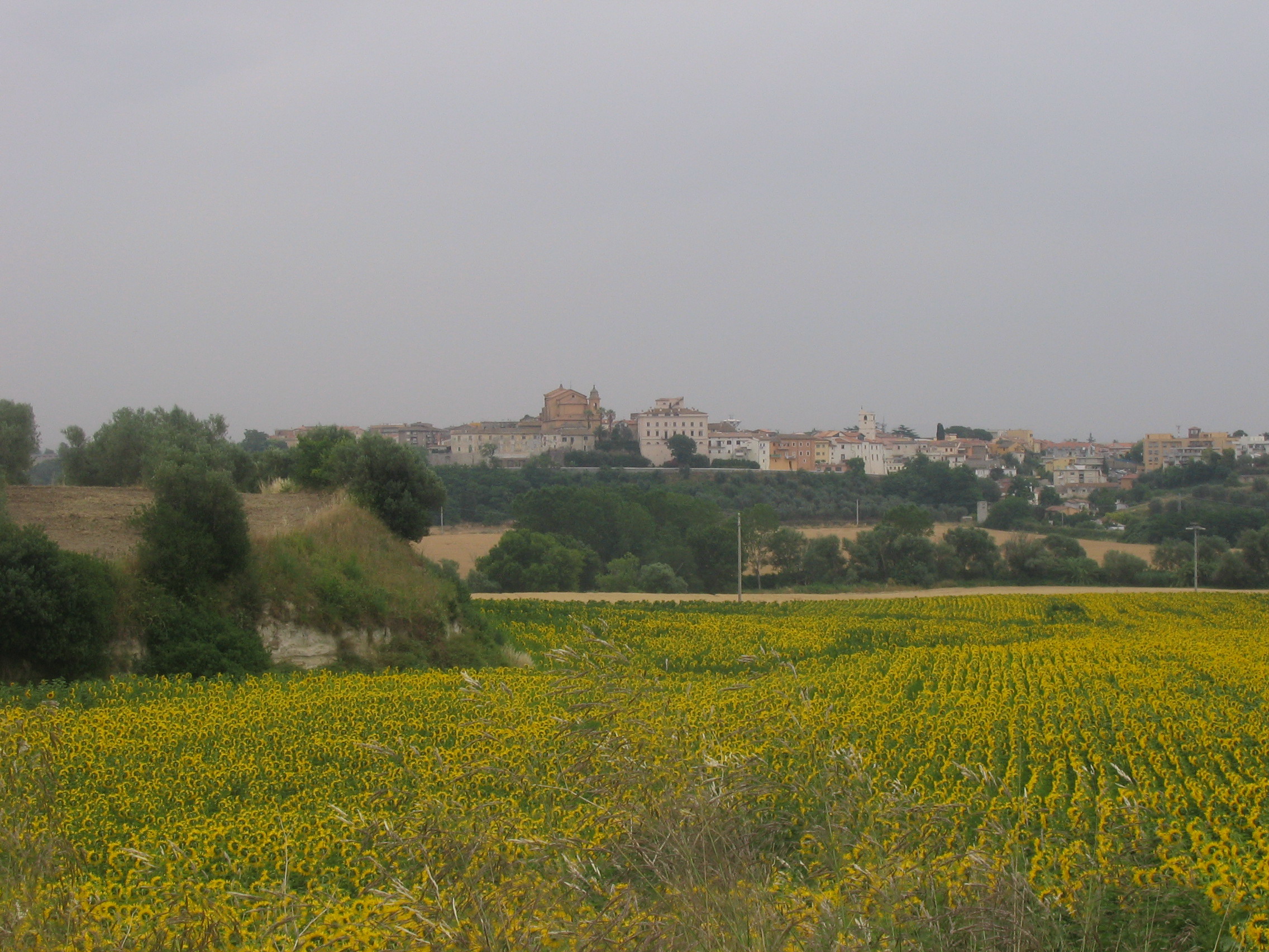 Montalto di Castro (Viterbo) - Foto: mac9, CC BY-SA 3.0, Wikimedia Commons