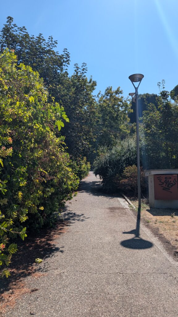 Prato secco per il caldo estivo in un parco pubblico di Viterbo