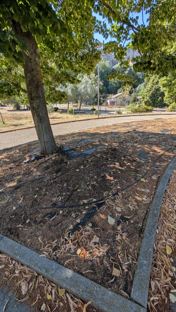 Prato secco per il caldo estivo in un parco pubblico di Viterbo