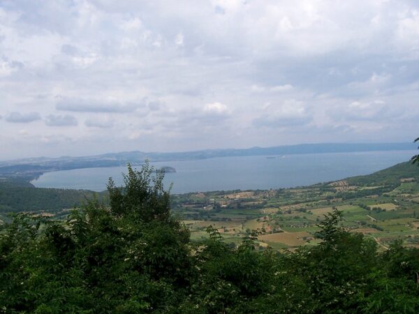 Forti odori chimici nelle campagne della Tuscia: cittadini chiedono controlli su pesticidi e fertilizzanti