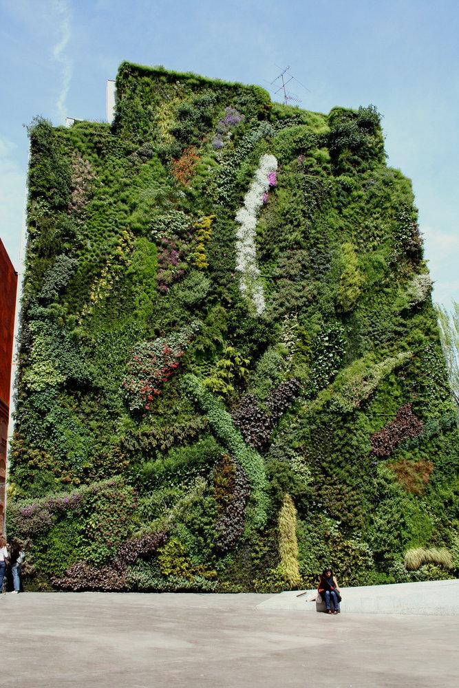 Un giardino verticale che ricopre la facciata di un edificio in ambiente urbano