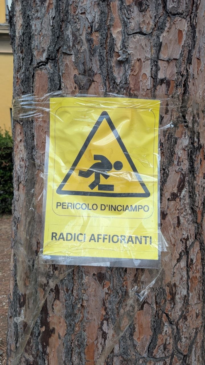 Il cartello giallo «Pericolo d'inciampo, radici affioranti», fotografato da vicino