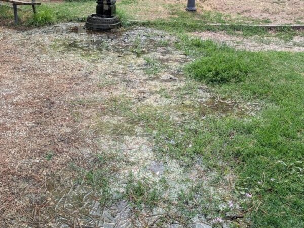 Il parco vicino Porta della Verità, tra acqua stagnante e un cartello di pericolo