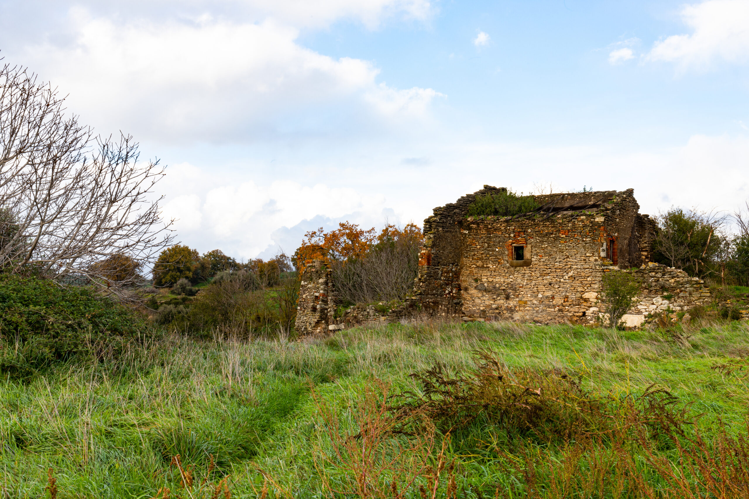 Antico rudere in pietra nella campagna viterbese, tra erba e alberi