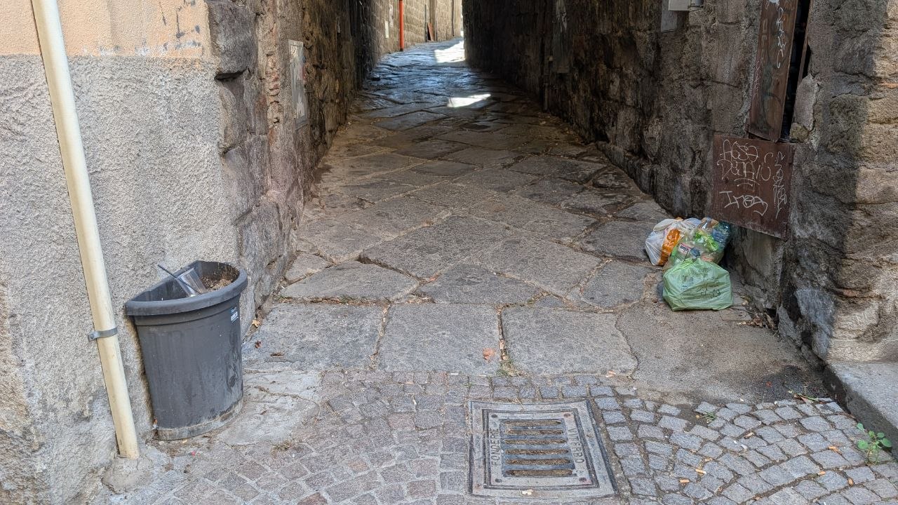 Un cestino colmo e sacchetti di rifiuti lasciati a terra in via degli Scalzi, nel centro storico