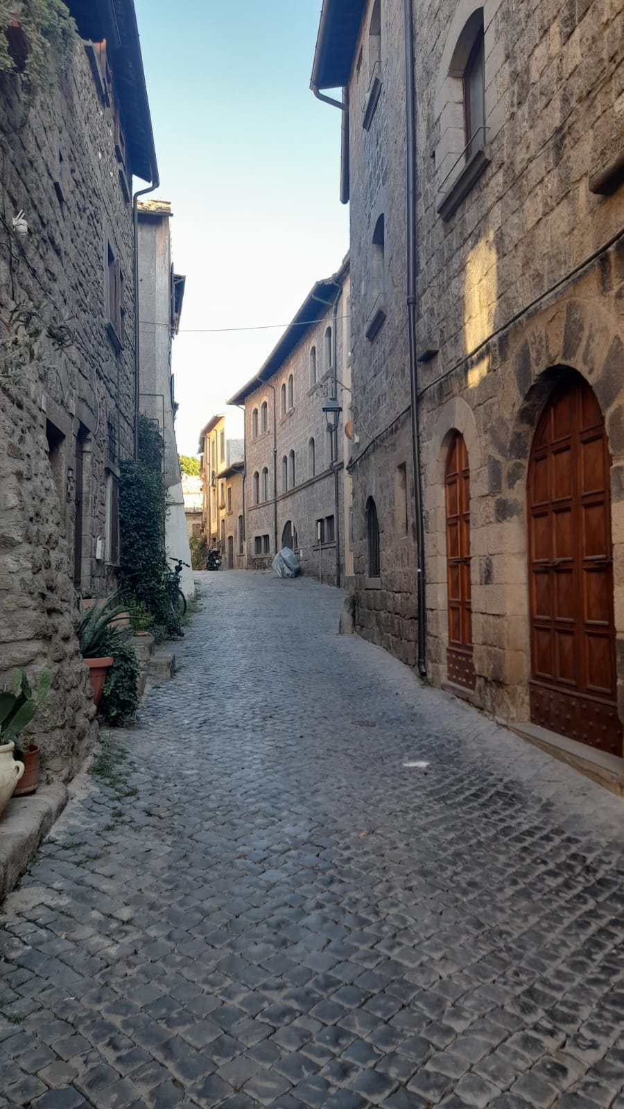 Vicolo acciottolato del centro storico di Viterbo, con portoni in legno e poche piante in vaso