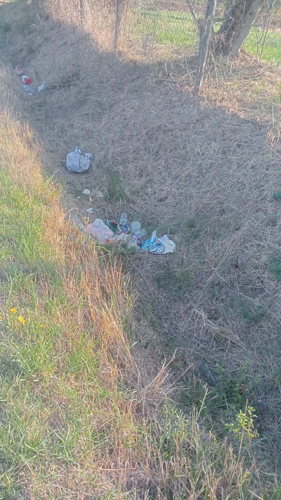 Sacchetti e rifiuti abbandonati nella scarpata lungo la strada statale Cassia al km 108,500, nel territorio di Bolsena