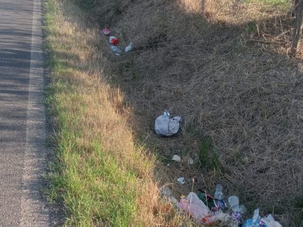 Rifiuti sulle strade della Tuscia: chi deve pulire, e a chi si segnala
