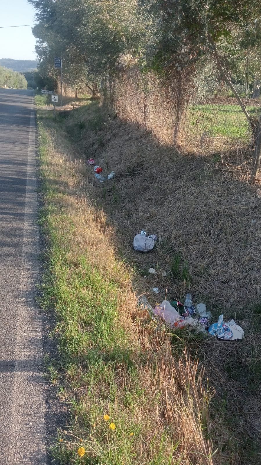 Rifiuti abbandonati nella cunetta a bordo della strada statale Cassia al km 108,500, vicino al Parco di Turona a Bolsena