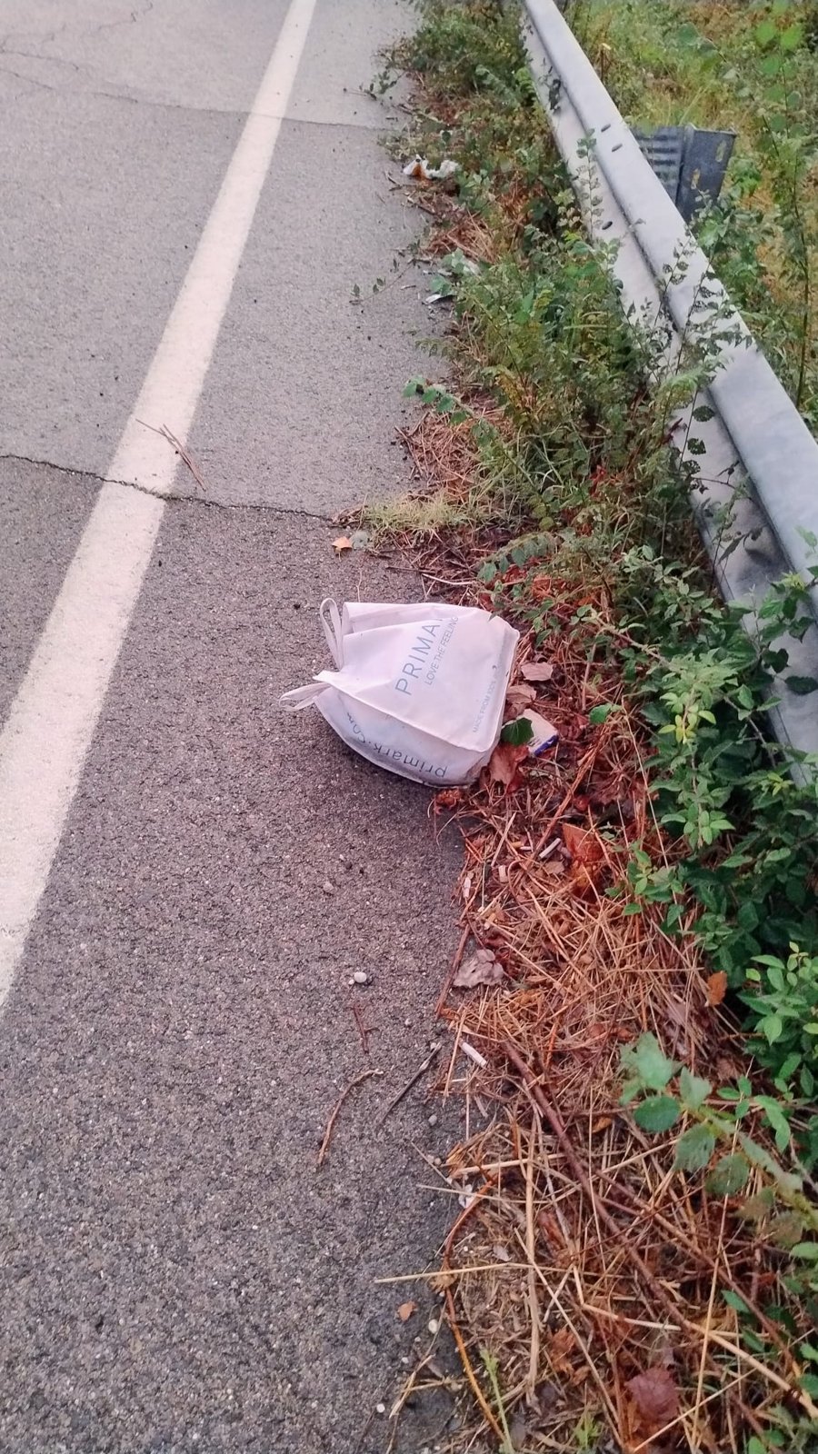 Un sacchetto di rifiuti abbandonato a bordo della carreggiata, accanto al guard rail della strada provinciale 25 Canepinese
