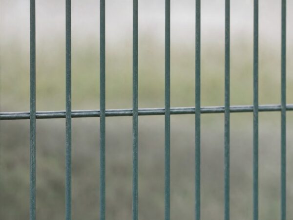 Espulso dopo otto anni di carcere a Viterbo, trasferito al Cpr di Brindisi