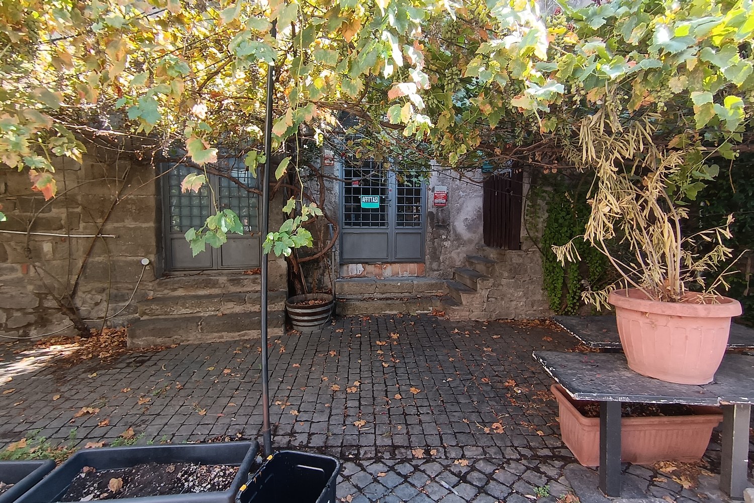 Un cortile con pergolato, vasi e tavolo nel quartiere San Pellegrino a Viterbo
