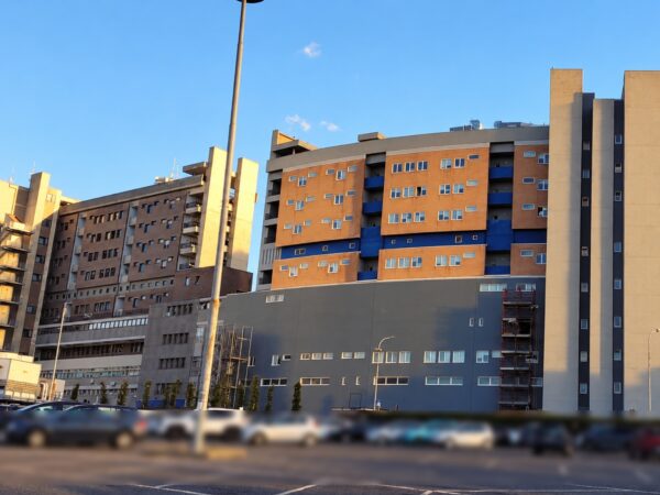 Concorso all’ASL di Viterbo: quattro posti da dirigente medico in Cardiologia