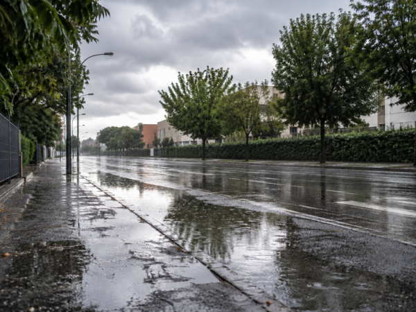 Maltempo su Viterbo e provincia: allagamenti e alberi caduti, allerta gialla fino a domani