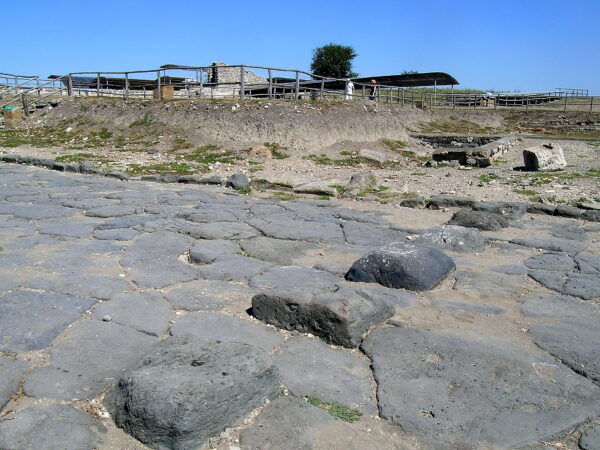 Vulci, dopo 40 anni si scava di nuovo sul porto perduto di Regisvilla