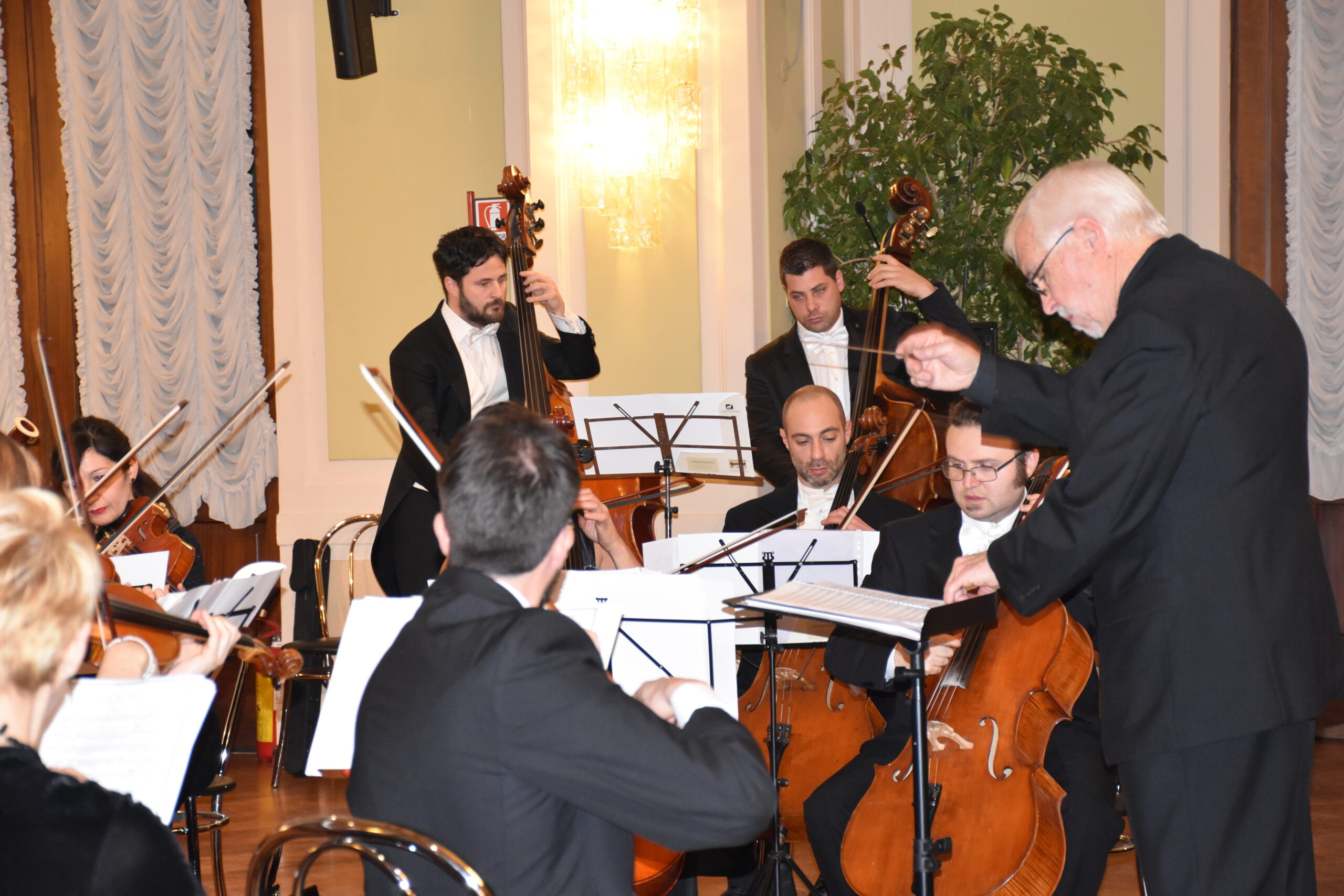 Un direttore d’orchestra guida archi e contrabbassi durante un concerto di Capodanno
