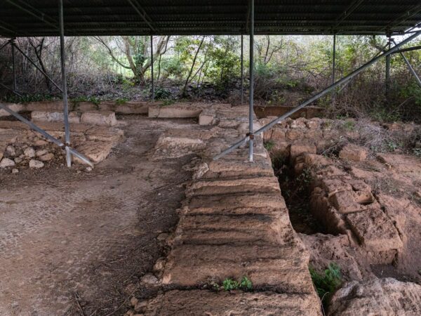 Viterbo etrusca, perché resta in ombra: 11 mila visitatori al museo della Rocca, 130 mila a Villa Lante