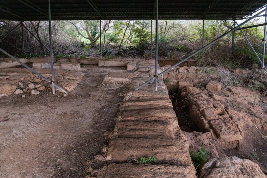 Muri e pavimenti antichi riportati alla luce a Musarna, sotto una tettoia di protezione su pali metallici