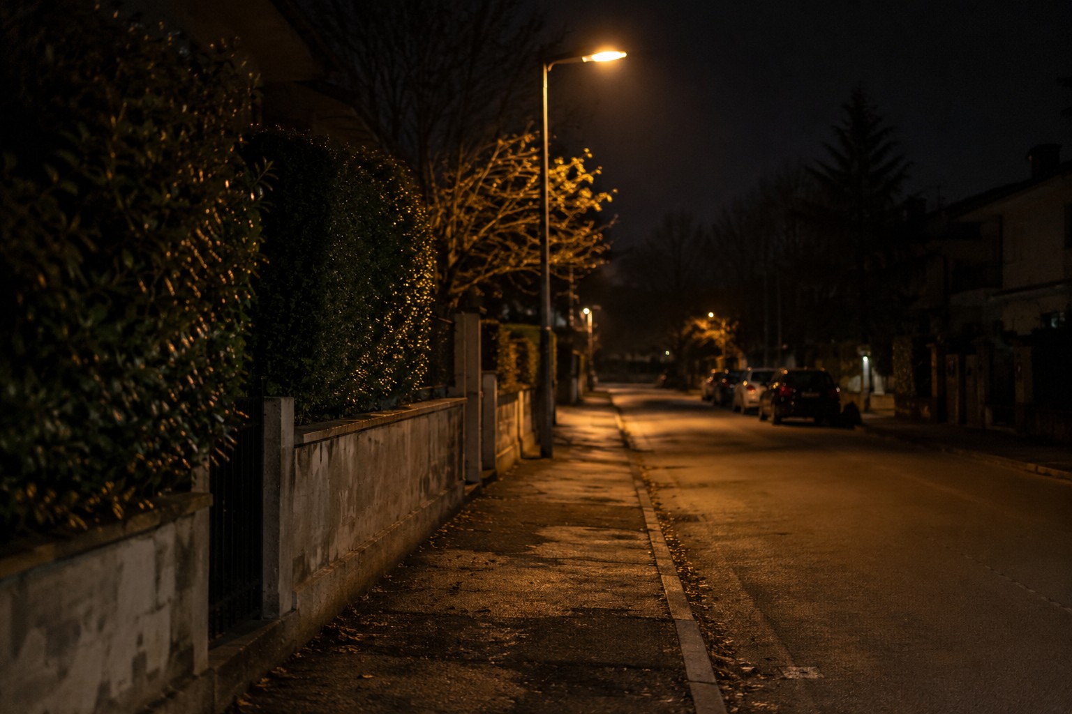 Strada residenziale periferica illuminata di notte da un lampione, immagine generica non riferita al luogo dell'aggressione